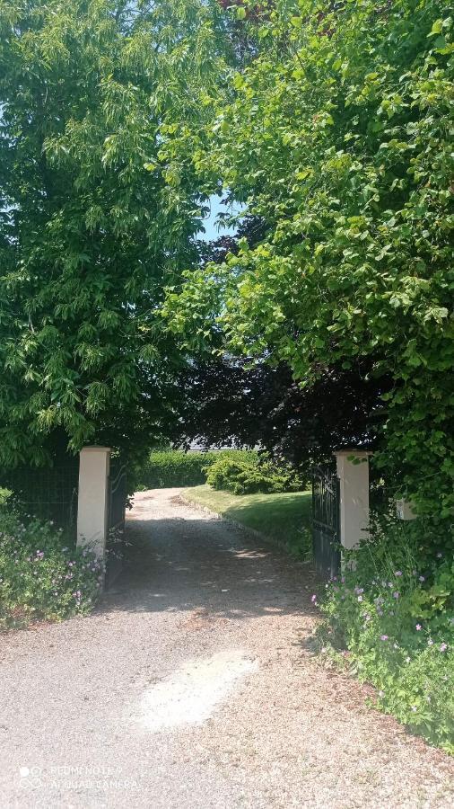 La Bella 12 - Appartement Gite Dans Maison D'Hotes Bordeaux-Saint-Clair Bagian luar foto